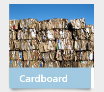 Cardboard